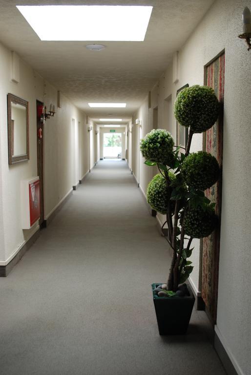 Fountain City Motor Inn Hamilton Bagian luar foto